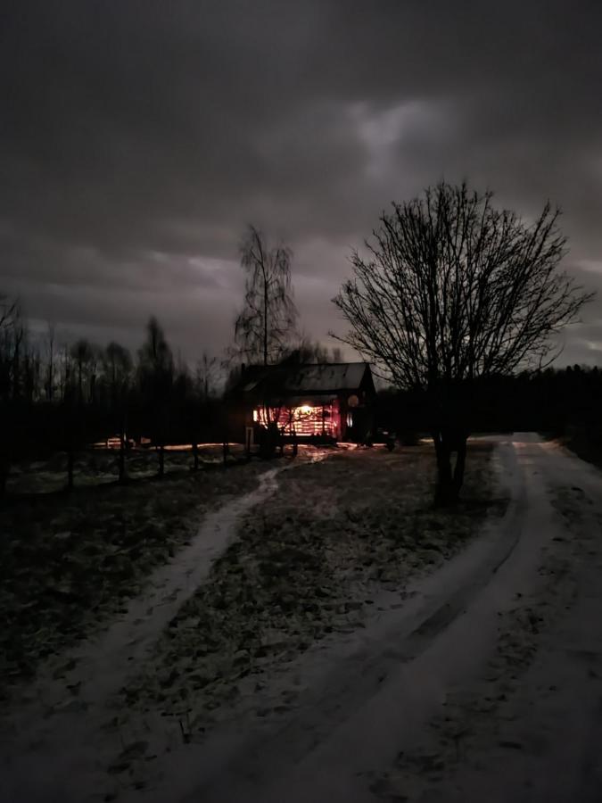 Musketeers Cabin Porumbacu de Sus Exterior photo